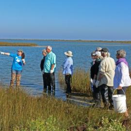 Apalachicola National Estuarine Research Reserve